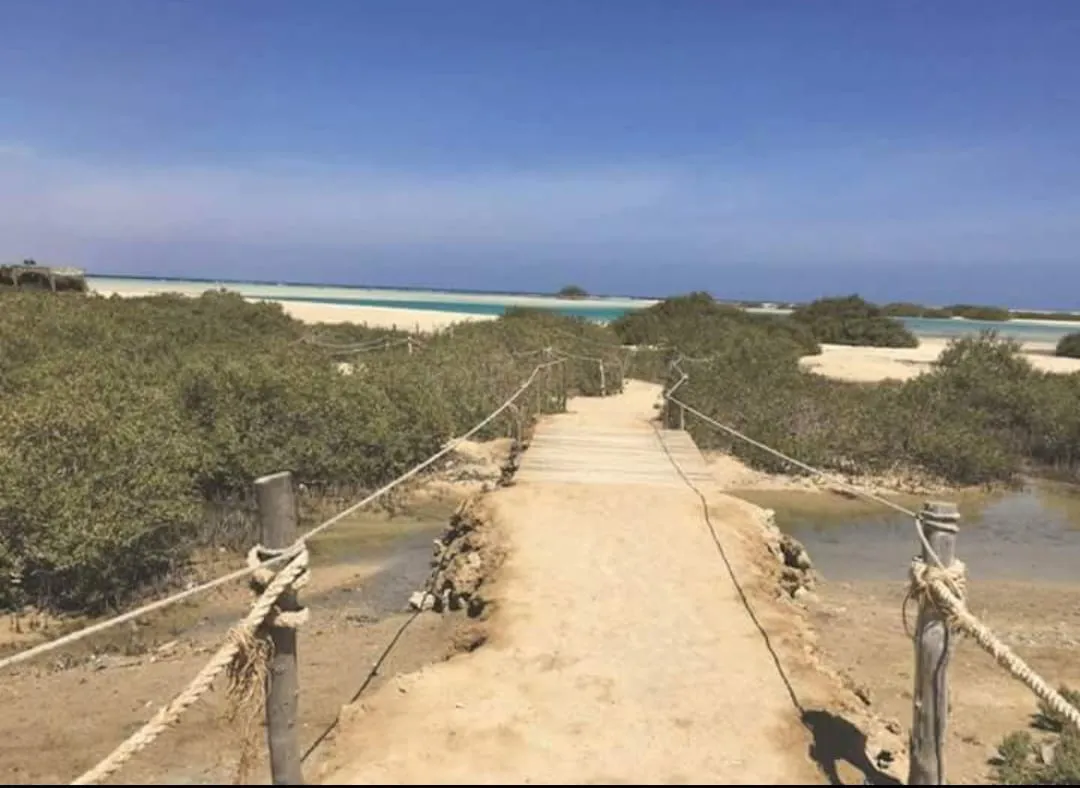 🏖️🌊 Sharm El Luli & El Qulaan Tour – Marsa Alam 🐠🌴 Sharm EL Luli /IMG-20260703-WA0016.jpg